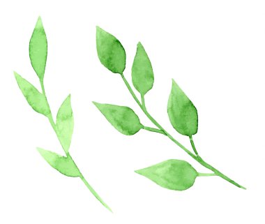 Vectorized suluboya el çizim floral Tema