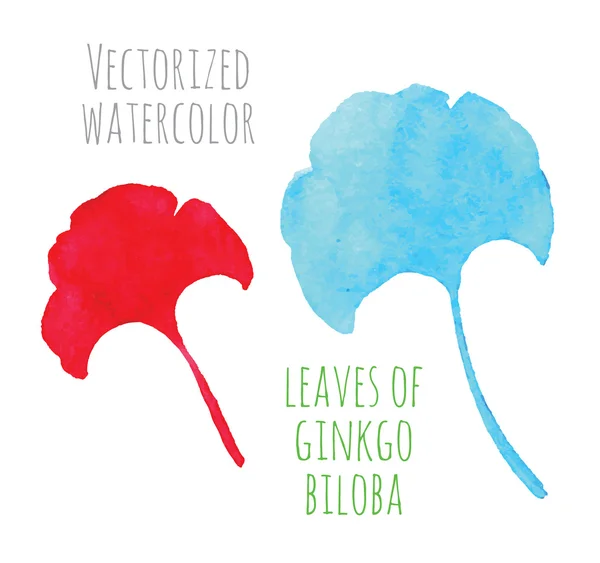 Aquarelle vectorisée dessin à la main eaf de Ginkgo biloba — Image vectorielle