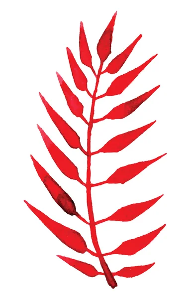 Aquarell wectorisiertes rotes Blatt — Stockvektor