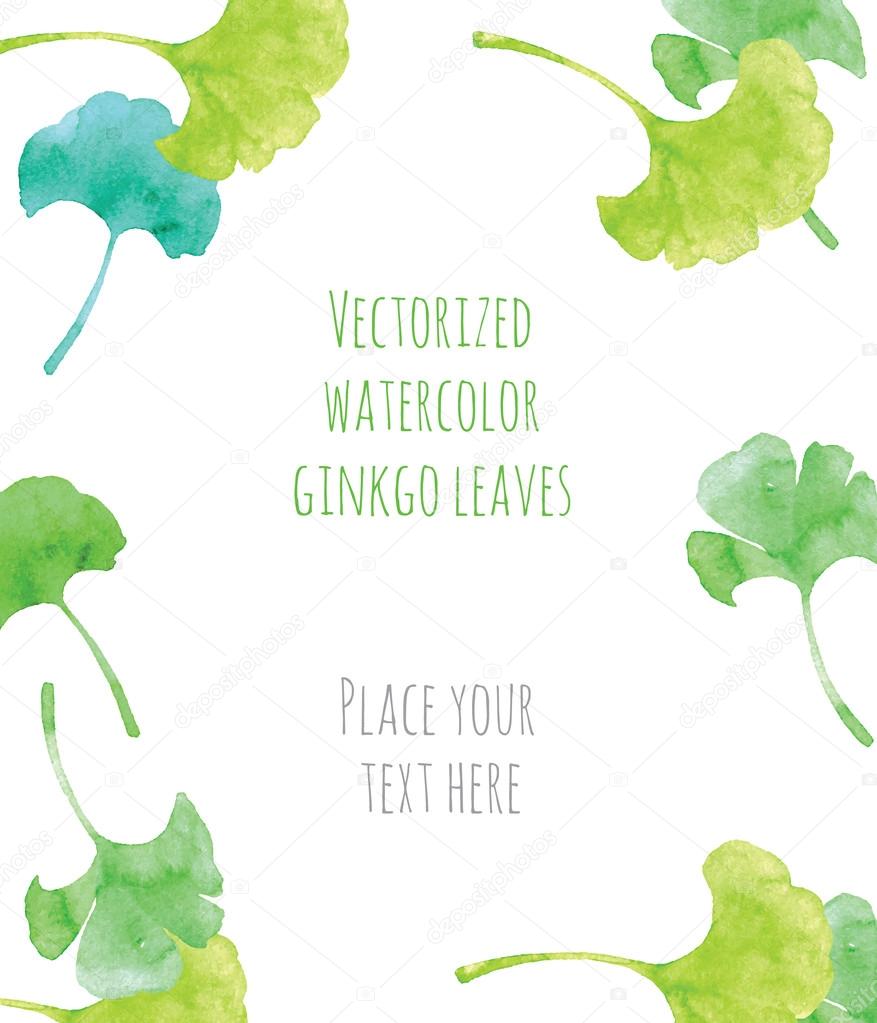 Vectorized watercolor hand drawing of leaves ginkgo biloba frame