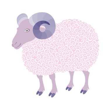 sevimli koyun curl ile