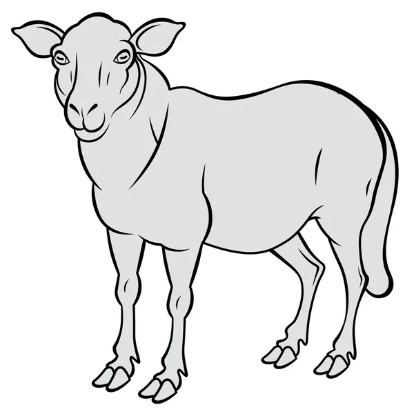 Bonita oveja — Vector de stock
