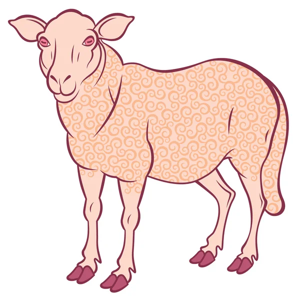 Roztomilé ovce — Stockový vektor