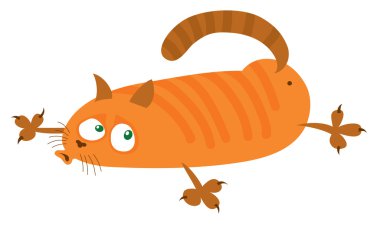Kırmızı kedi karnına yatıyor