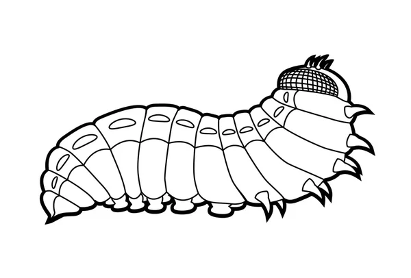 Mariposa oruga — Archivo Imágenes Vectoriales
