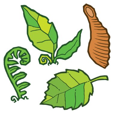 Sonbahar yaprakları ve bitkiler