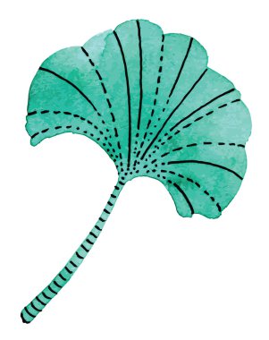 Ginkgo biloba yaprak