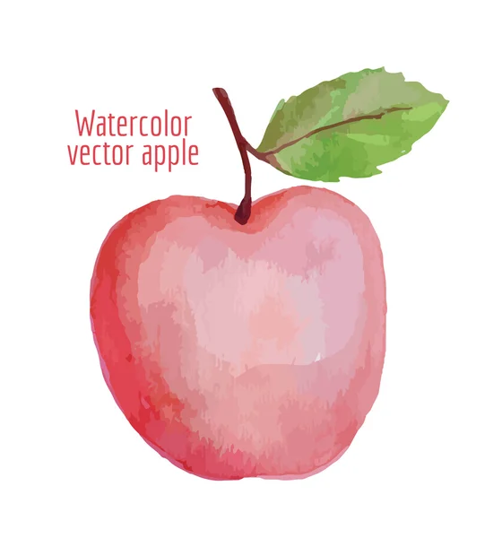 Grote roze appel met blad — Stockvector