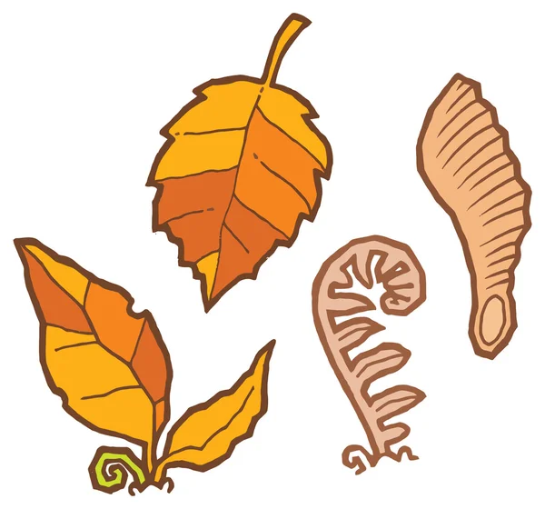 Autumn leaves and plants — Stock Vector