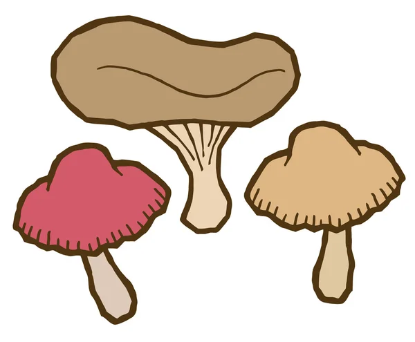 Edible mushrooms autumn — Stock Vector