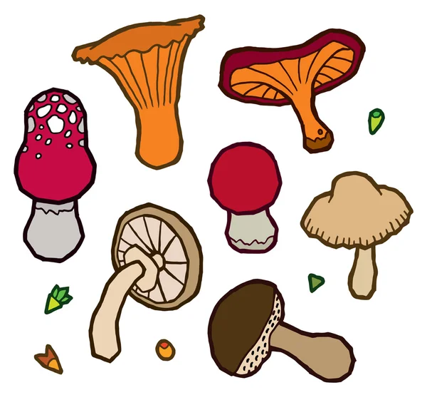 Edible mushrooms autumn — Stock Vector