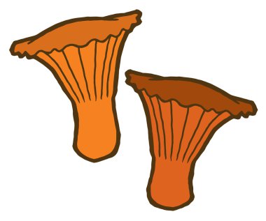 Yenilebilir mantar sonbahar