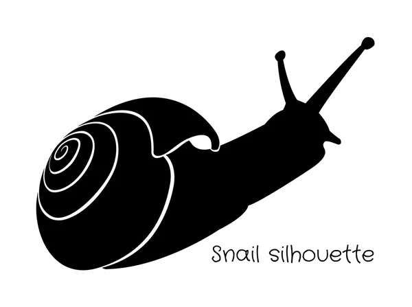 Silhouette snails with shell — Stock Vector
