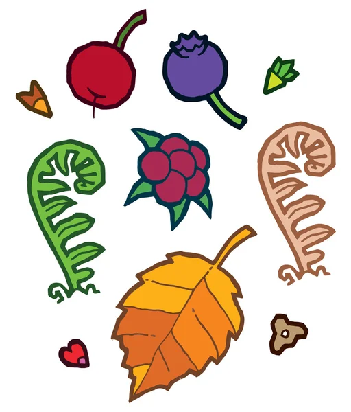 Autumn leaves berry plant seeds — Stock Vector