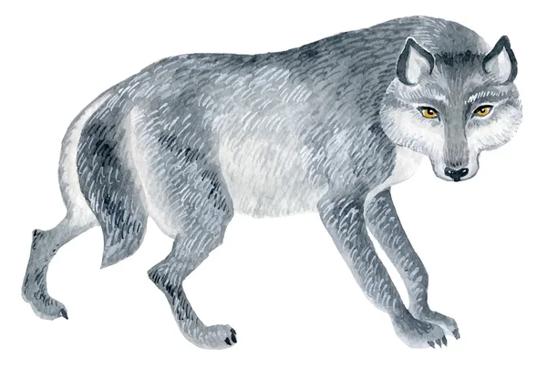 Wolf figuur — Stockvector