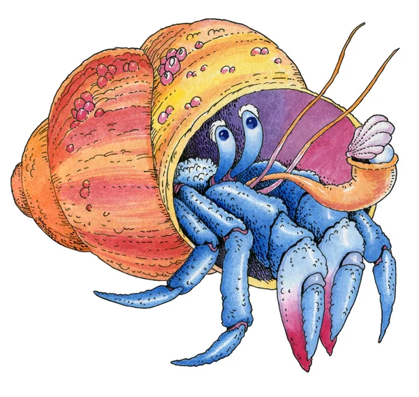 Hermit crab watercolor painted hand drawing — Stock Photo, Image
