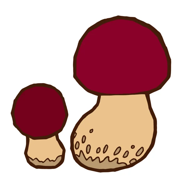 Edible mushrooms in autumn — Stock Vector