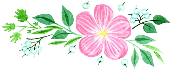 Flor rosa con bayas — Vector de stock