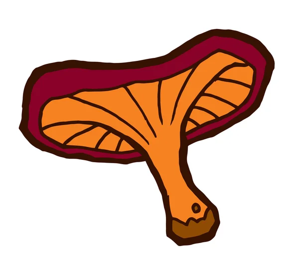 Champiñón comestible de otoño — Vector de stock