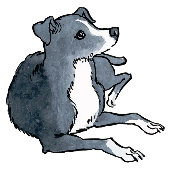 Ładny pies ilustracja — Wektor stockowy