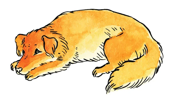 Lindo perro ilustración — Vector de stock