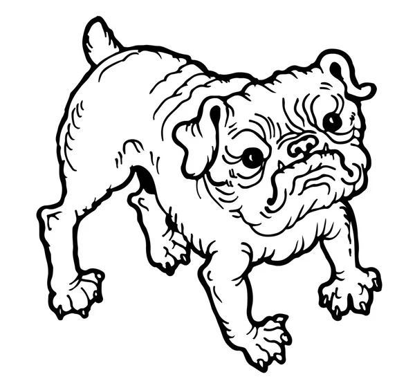 Bulldog dibujado a mano — Vector de stock