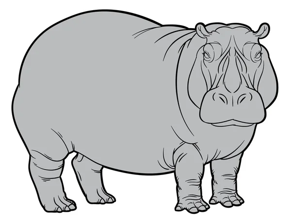 Hand drawing illustration of hippo — Stock Vector