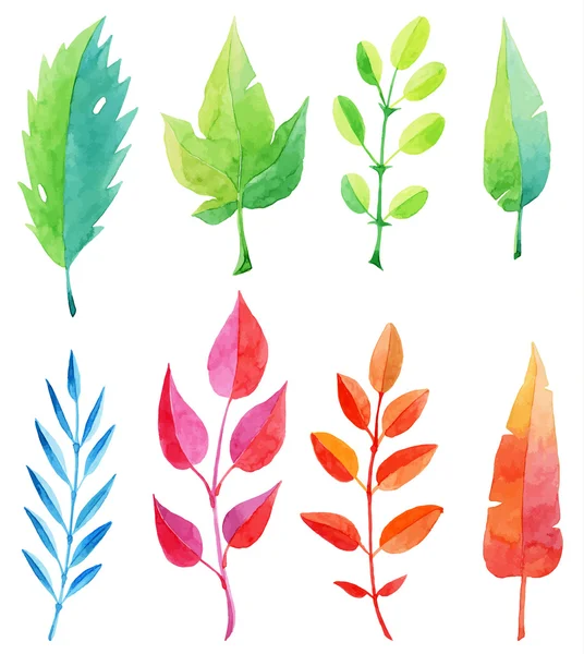 Multicolored watercolor leaves — Stock Vector