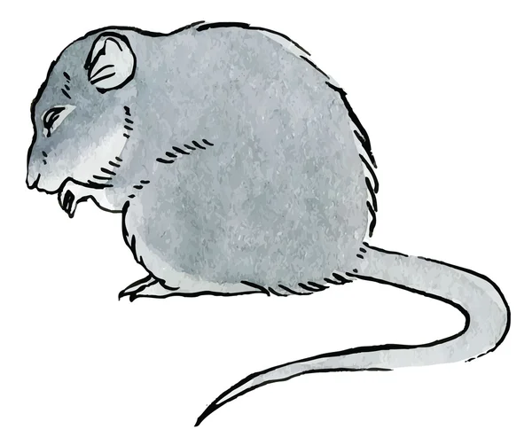 Cute grey rat — Stock Vector