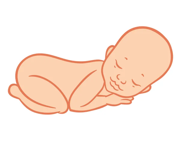 Newborn little sleeping caucasian baby — Stock Vector