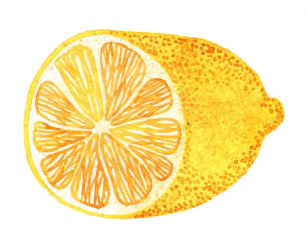 Zitronen-Aquarellzeichnung — Stockvektor