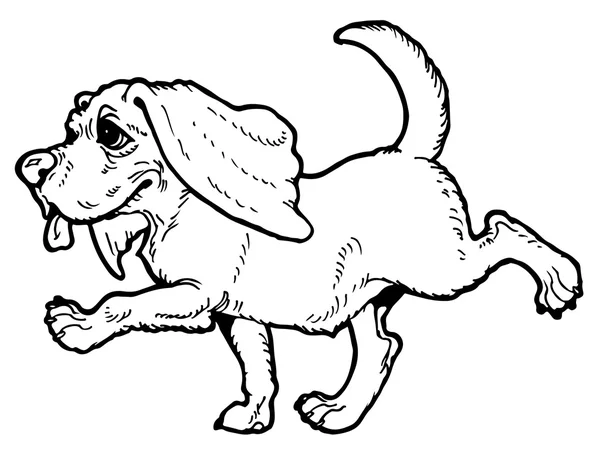 Dibujos animados divertido beagle — Vector de stock