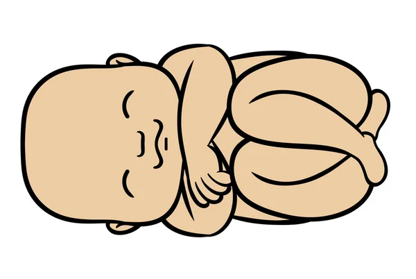 Νεογέννητο μωράκι κοιμάται Royalty Free Εικονογραφήσεις Αρχείου