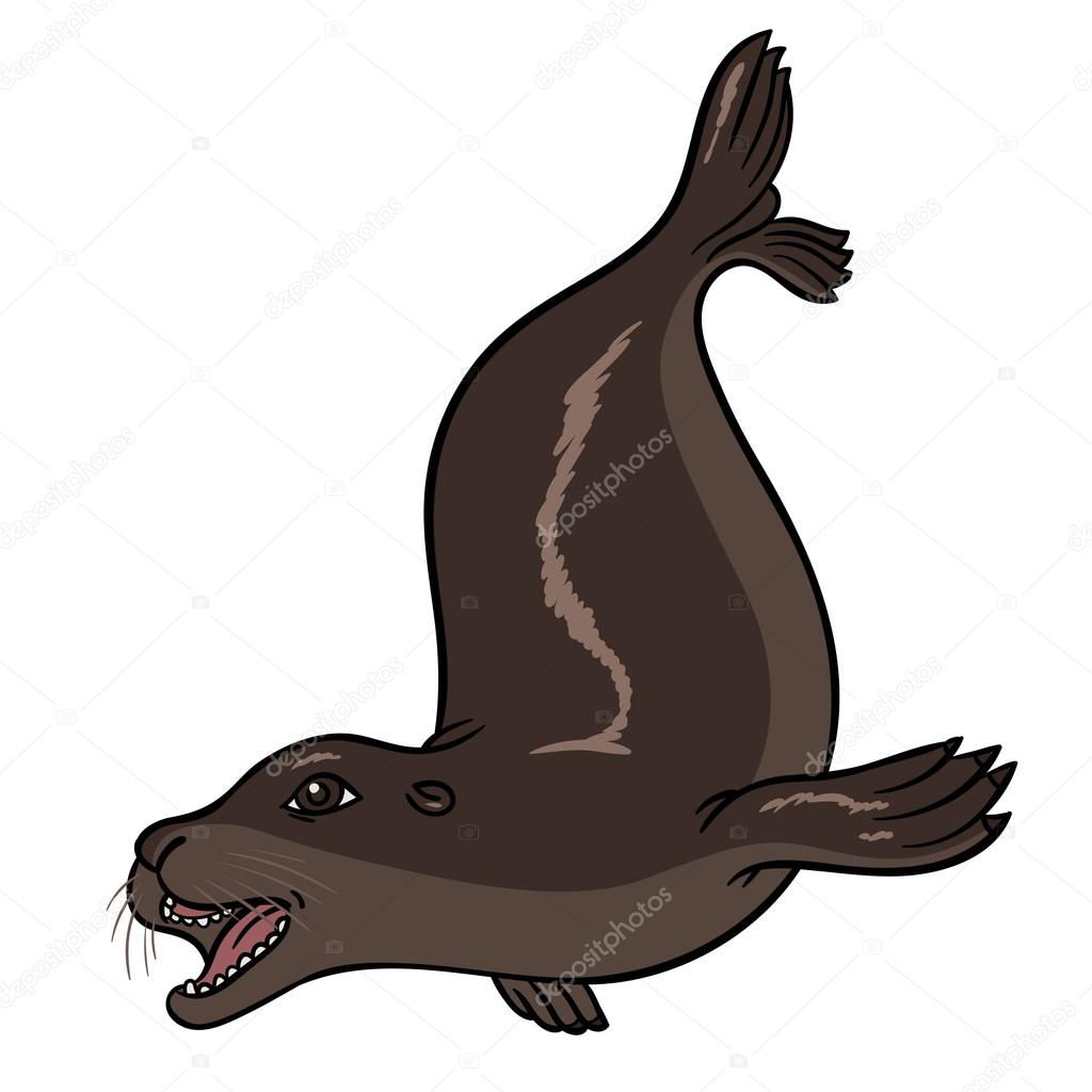 brown seal animal