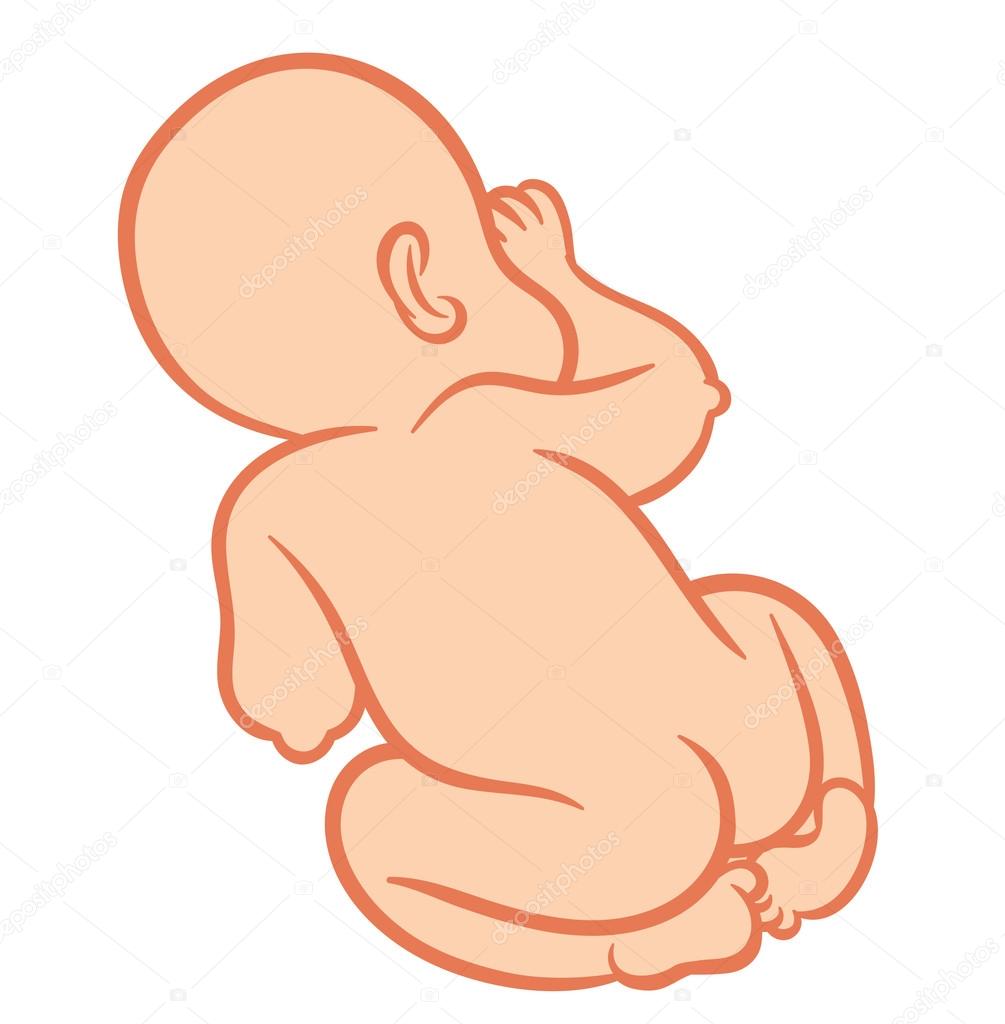 Recién nacido pequeño bebé dormido Vector de stock #78049972 de