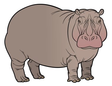 hand drawing illustration of hippo clipart