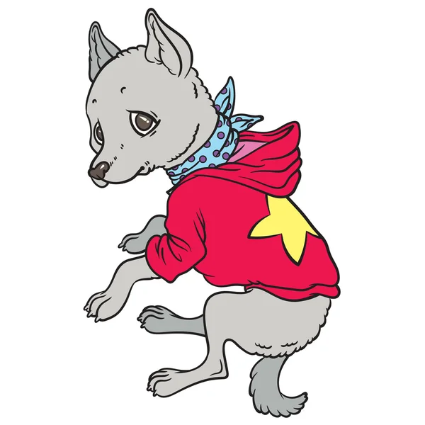 Cartoon chihuahua hond in hoodie — Stockvector