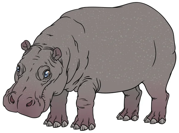 Hand drawing illustration of hippo — Stock Vector