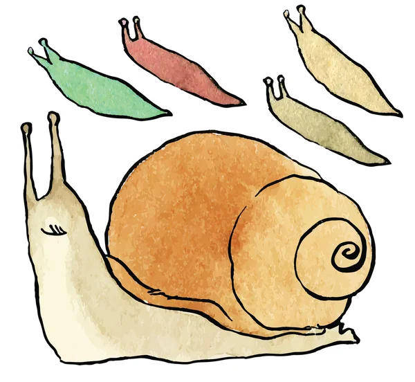 Cartoon snail and slugs — Stock Vector