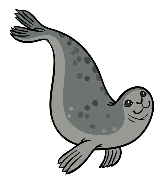 Cute grey seal — Stock Vector