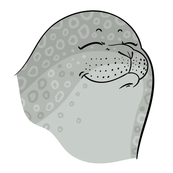 Пятнистый серый тюлень — стоковый вектор