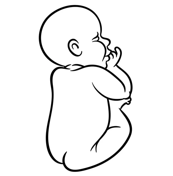 Nouveau-né petit bébé endormi — Image vectorielle