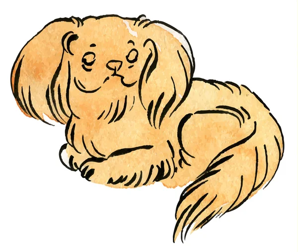 Sable perro Pekinés — Archivo Imágenes Vectoriales