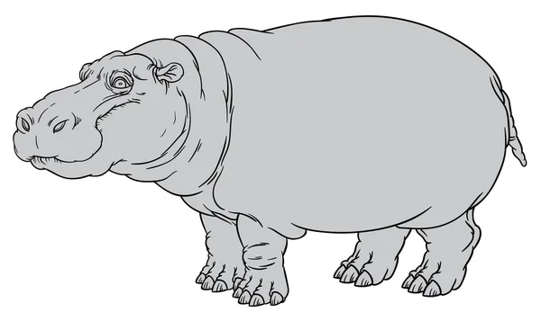 Hand tekenen op illustratie van hippo — Stockvector