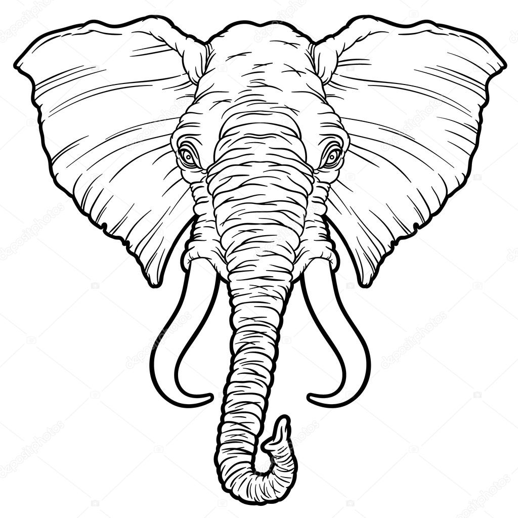Vector hand drawn illustration with cartoon outline African elephant head isolated on white background