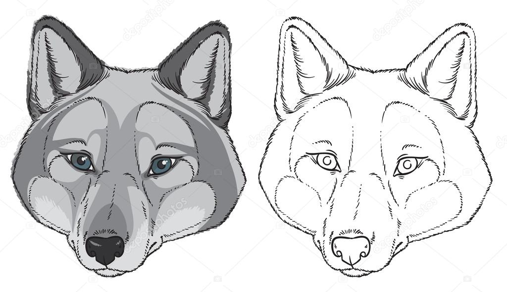 dangerous wolfs heads