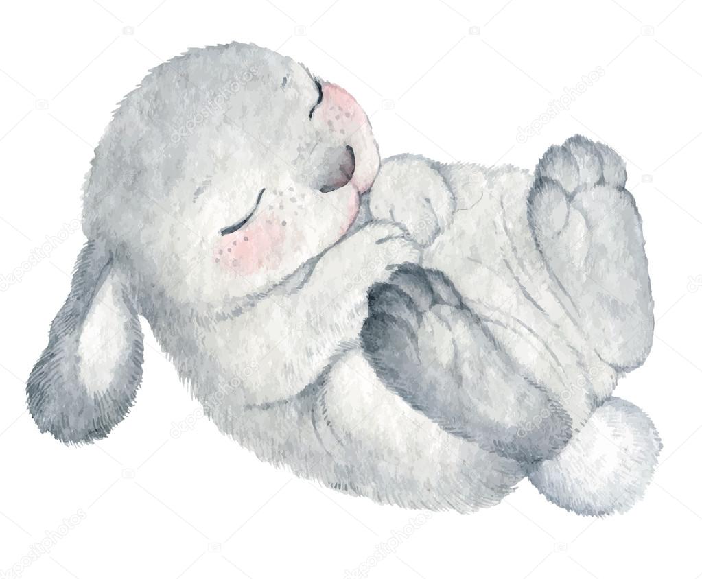 Cute watercolor  rabbit