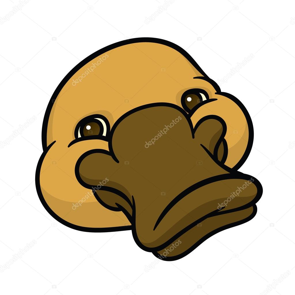 Funny happy cartoon platypus head