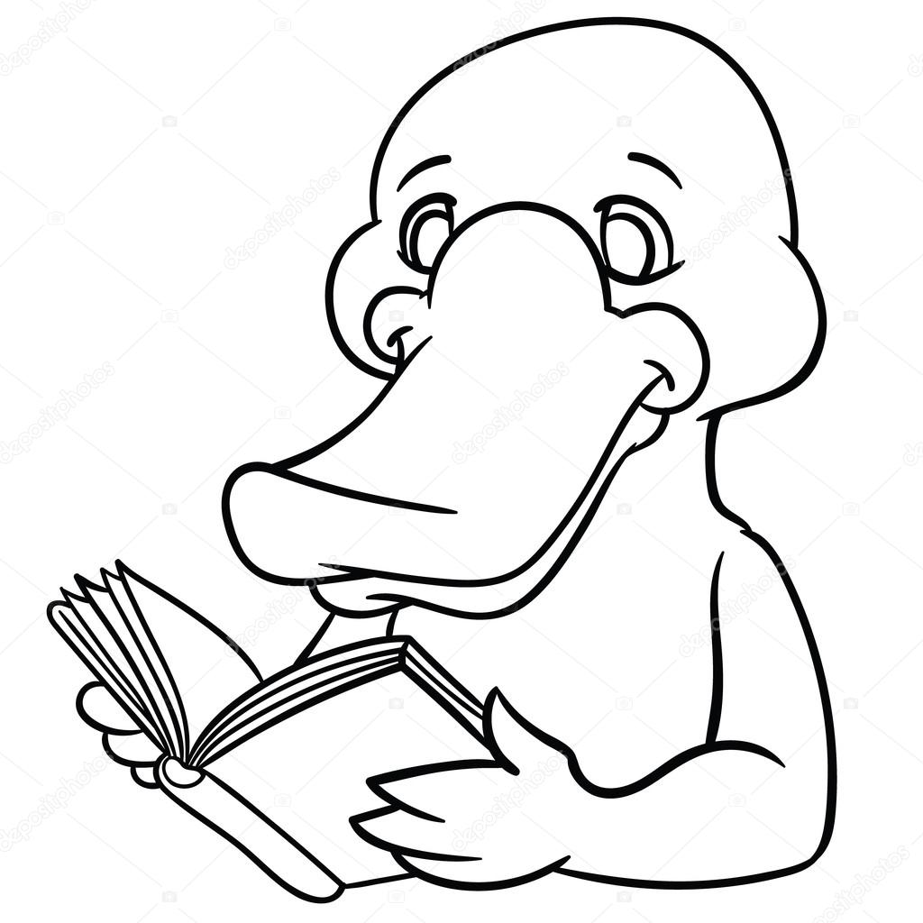 platypus reads book
