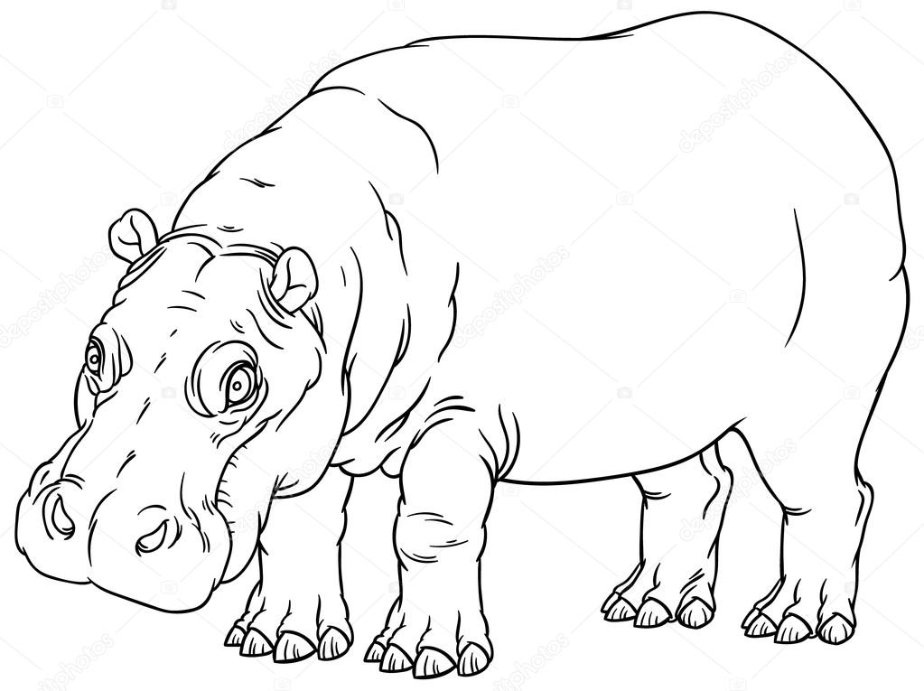 Hand drawing outline illustration of hippo